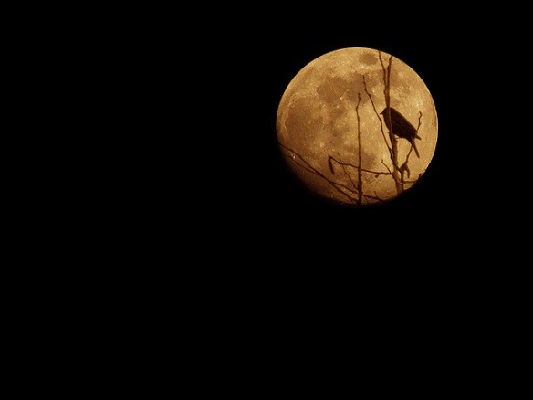 "Moon Shadow" by James Jordan @flickr.com